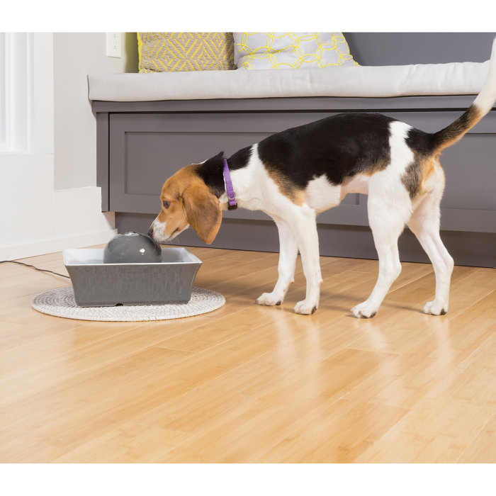 PetSafe® Seascape Pet Fountain Grey & Reviews Wayfair